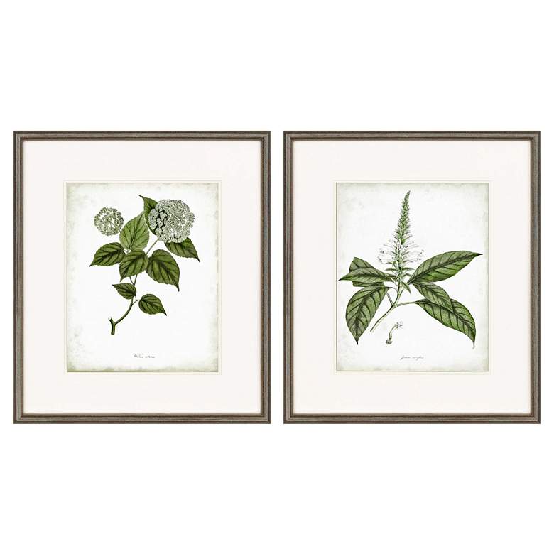 Image 1 Sage Botanicals I 31 inchH 2-Piece Framed Giclee Wall Art Set