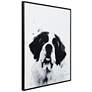 5_Saint Bernard 24"x18" Printed Glass Framed Wall Art more views
