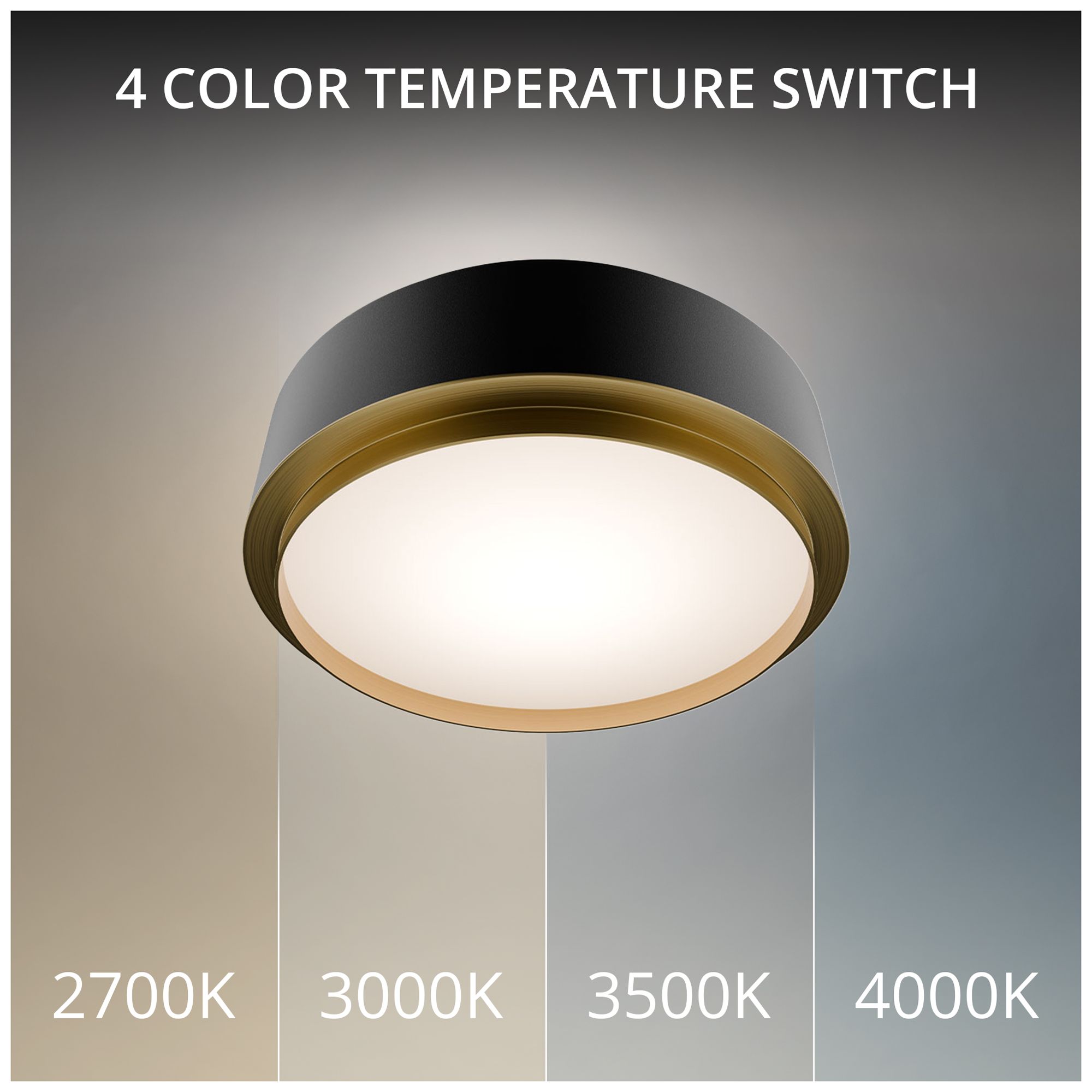 Image 2 Salvo 4"H x 12"W 1-Light Flush Mount in Black more views
