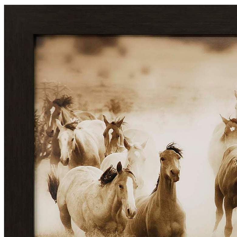 Image 4 San Cristobol Horses 50" Wide Framed Giclee Wall Art more views