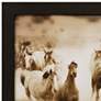 San Cristobol Horses 50" Wide Framed Giclee Wall Art in scene