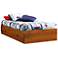 Sand Castle Collection Sunny Pine Twin Mates Bed