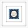 Sand Dollar III 22" Square Framed Wall Art