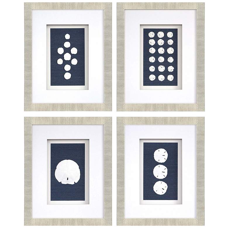 Image 1 Sand Dollars 18"W x 23"H Framed Art Set of 4