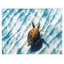 1_Sandbar Sea Turtle 50"W x 38"H Coastal Framed Art