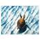 Sandbar Sea Turtle 50"W x 38"H Coastal Framed Art