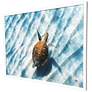 2_Sandbar Sea Turtle 50"W x 38"H Coastal Framed Art more views