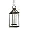 Sanders 22 1/4" High French Iron Outdoor Hanging Light
