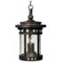Santa Barbara Collection 17 1/2" High Outdoor Hanging Light