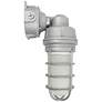 1_Satco Anya 13" High Gray LED Vapor Tight Outdoor Light