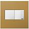 Satin Bronze 2-Gang Cast Metal Wall Plate with Switch and Dimmer