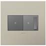 Satin Nickel 2-Gang Cast Metal Wall Plate w/ Switch and Dimmer