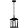 Satterfield 1-Light Matte Black Outdoor Hanging Lantern