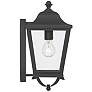 6_Savannah 15 3/4" High Sand Coal Outdoor Wall Light more views