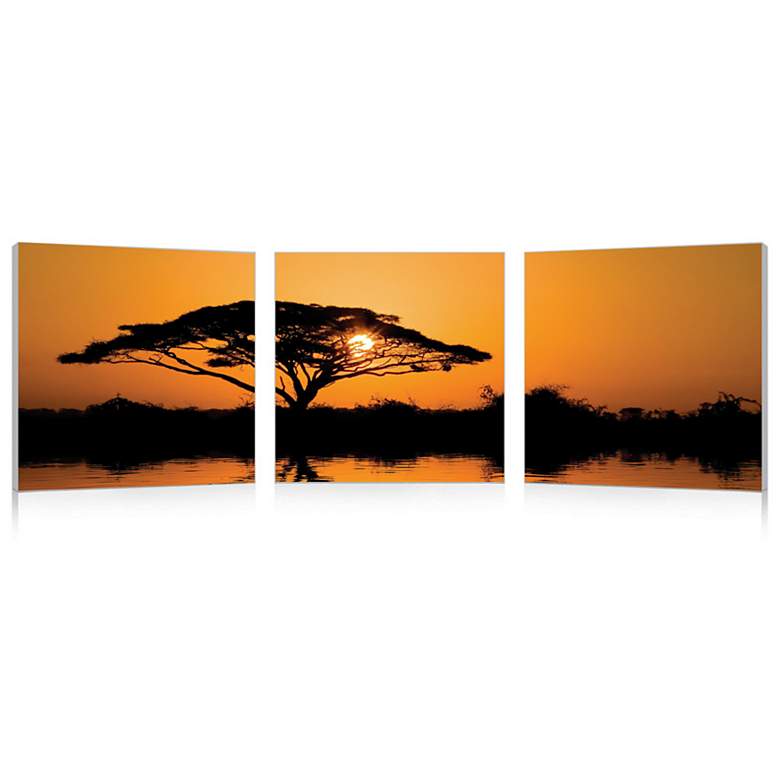 Image 1 Savannah Sunset Print Triptych Wall Art