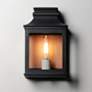 1_Savannah VX 13"H Black Oxide and Copper Outdoor Wall Light
