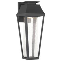 Savoy House Brookline 20" Dark Sky LED Matte Black Outdoor Wall Light