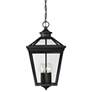 3_Savoy House Ellijay 20 3/4" High Black Outdoor Hanging Light