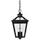 Savoy House Ellijay 20 3/4" High Black Outdoor Hanging Light