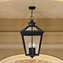 2_Savoy House Ellijay 20 3/4" High Black Outdoor Hanging Light