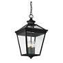 6_Savoy House Ellijay 20 3/4" High Black Outdoor Hanging Light more views
