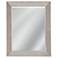 Saydona Antique Silver Leaf 36" x 44" Wall Mirror
