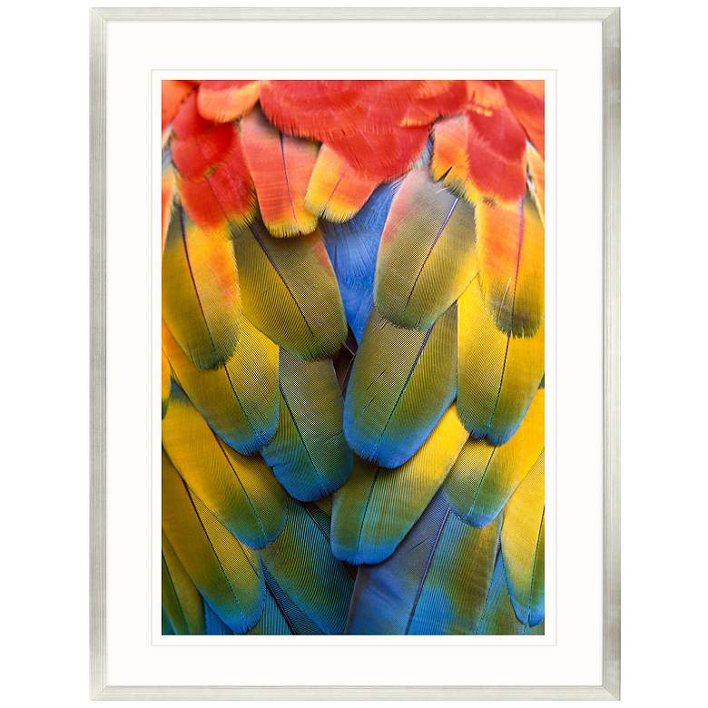 Image 1 Scarlet Macaw 39"W x 51"H Framed Art