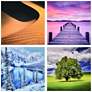 Scenery 20" Square 4-Piece Printed Glass Wall Art Set in scene