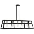 Livex Lighting Schofield Black Collection