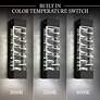 Thumbnail4 of Schonbek Labrynth 32" High Black LED Outdoor Wall Light more views