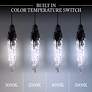 4_Schonbek Organza 3 3/4" Wide Black LED Mini Pendant more views