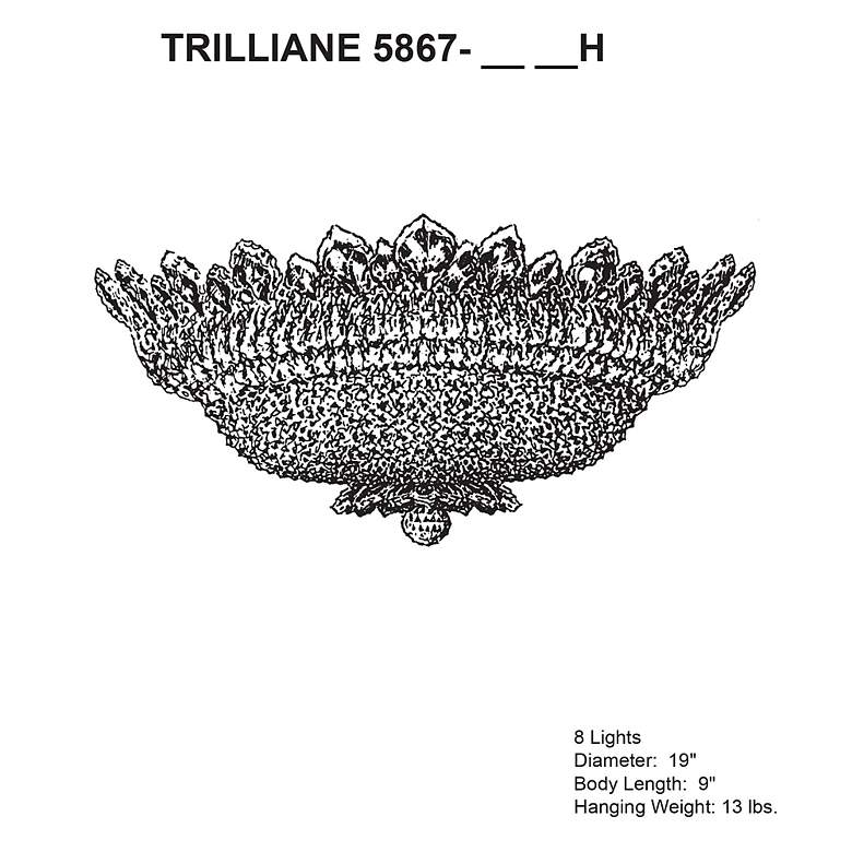 Image 4 Schonbek Trilliane 19" Wide Polished Silver and Crystal Ceiling Light more views
