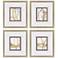 Scroll Series II 21"W x 23"H Framed Art Set of 4