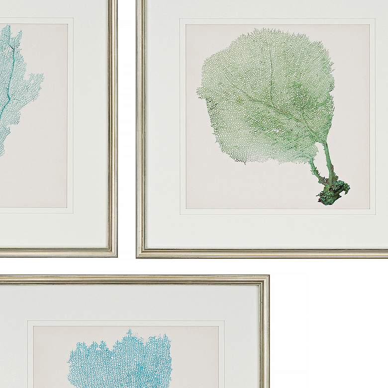 Image 3 Sea Fan I 3-Piece 25" Square Wall Art Set more views