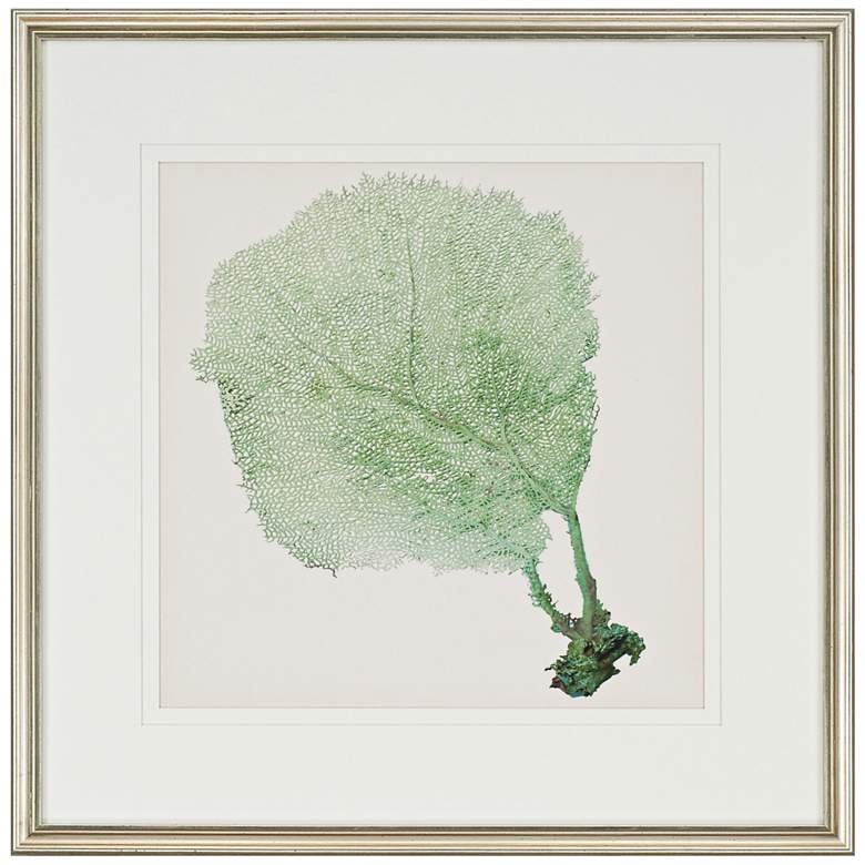 Image 5 Sea Fan I 3-Piece 25" Square Wall Art Set more views