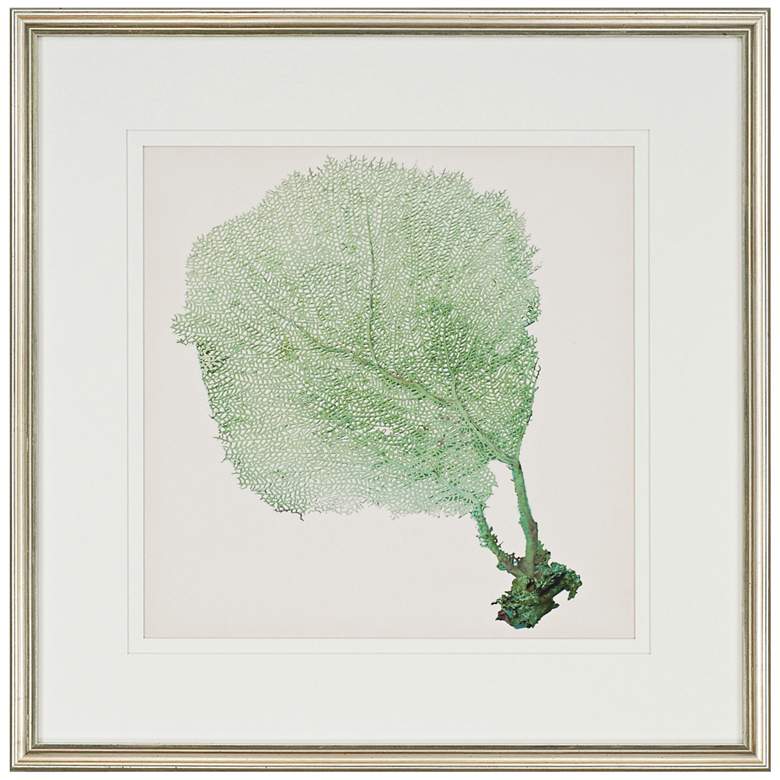 Image 5 Sea Fan I 3-Piece 25 inch Square Wall Art Set more views