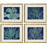 1_Sea Garden 19"W x 16"H Coastal Framed Art Set of 4