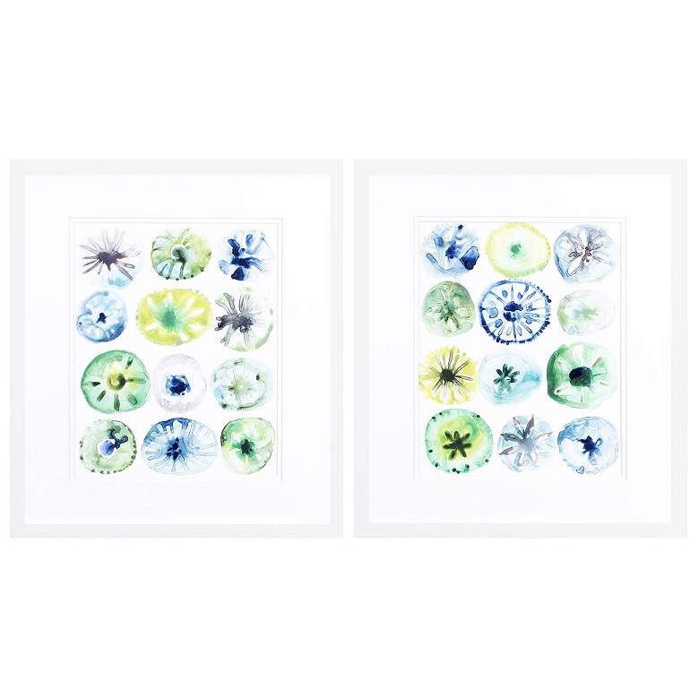 Image 1 Sea Urchin Assortment 17"W x 20"H Framed Art Set of 2