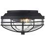 Seaport Natural Black 2-Light Outdoor Flush Mount with Seeded Glass