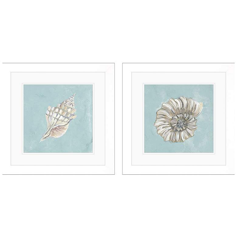 Image 1 Seashell A 19"W x 19"H Framed Art Set of 2