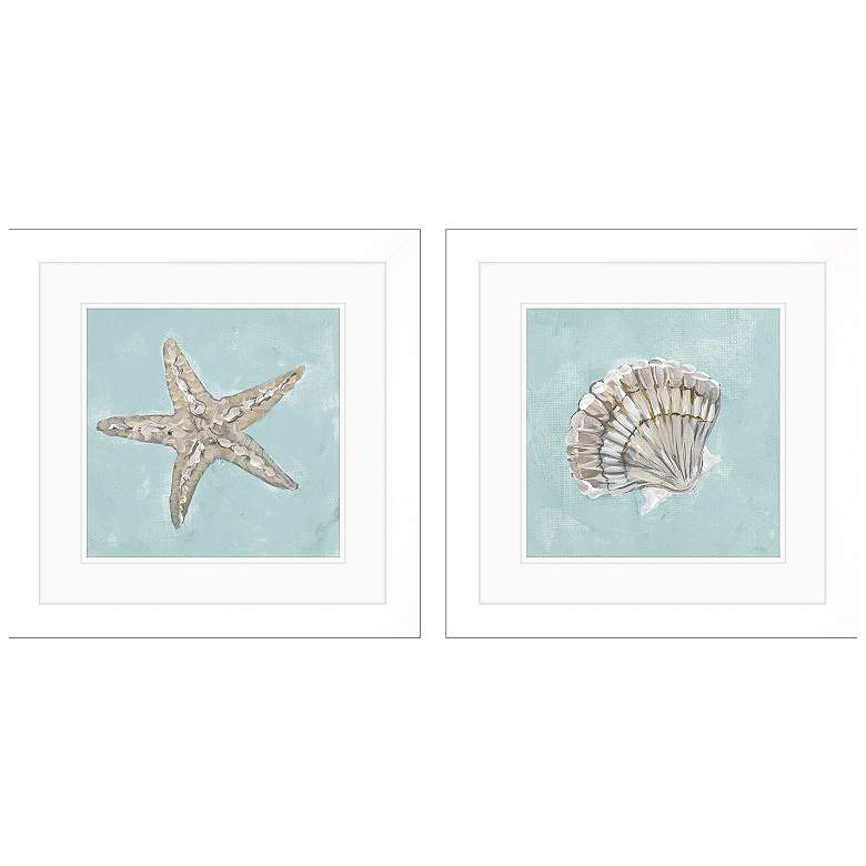 Image 1 Seashell B 19"W x 19"H Framed Art Set of 2