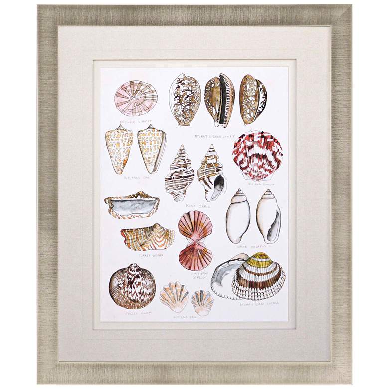 Image 1 Seashell Sketch I 38" High Framed Giclee Wall Art