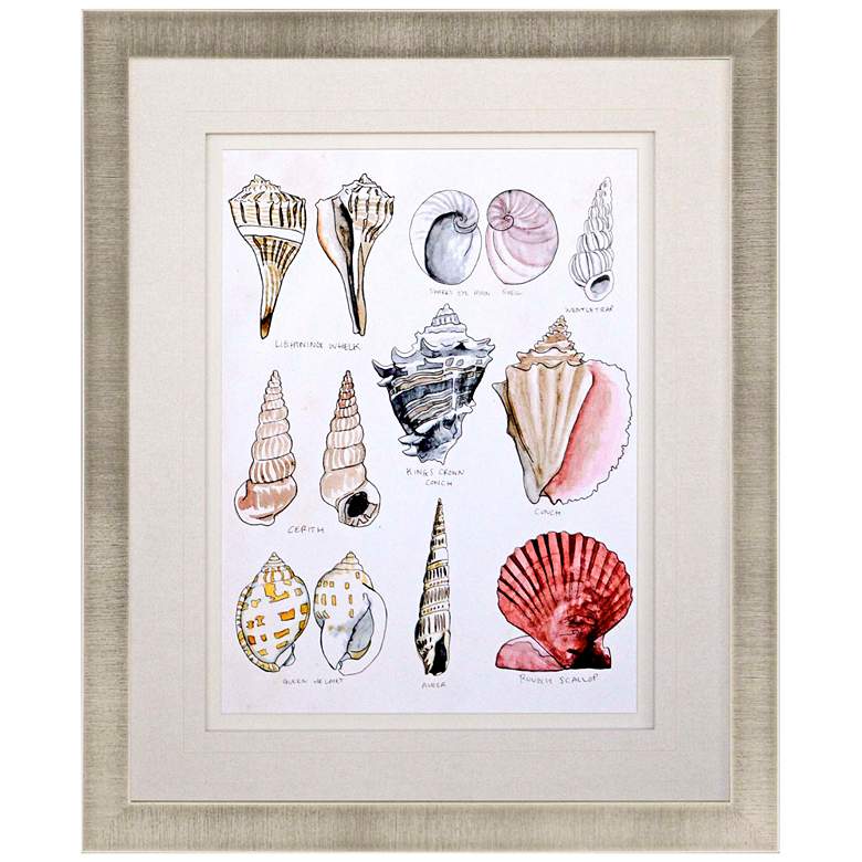 Image 1 Seashell Sketch II 38" High Framed Giclee Wall Art