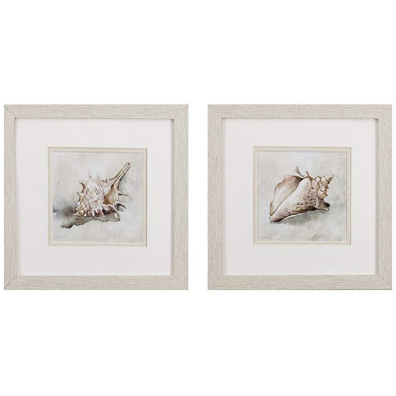 Image 1 Seashell Textures 11"W x 11"H Framed Art Set of 2