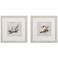 Seashell Textures 11"W x 11"H Framed Art Set of 2
