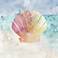 Seashells By The Shore 18" Wide Canvas Wall Art