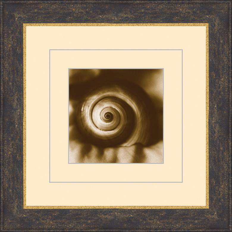 Image 1 Seashells in Sepia C 15 1/2 inch Square Wall Art