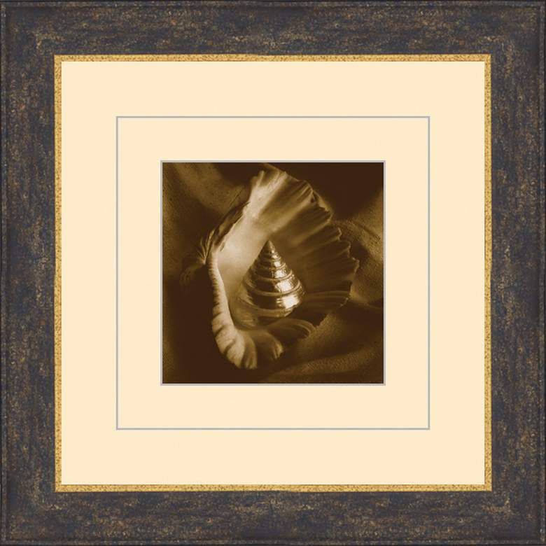Image 1 Seashells in Sepia D 15 1/2 inch Square Wall Art