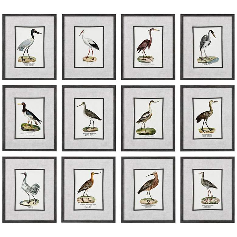 Image 1 Seashore Birds 22 inchH 12-Piece Framed Wall Art Print Set