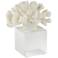 Seaside Coral Statue 6 1/2" High with Crystal Glass Base